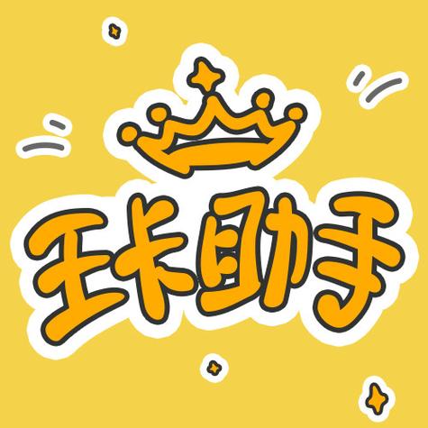 王卡助手防闪退