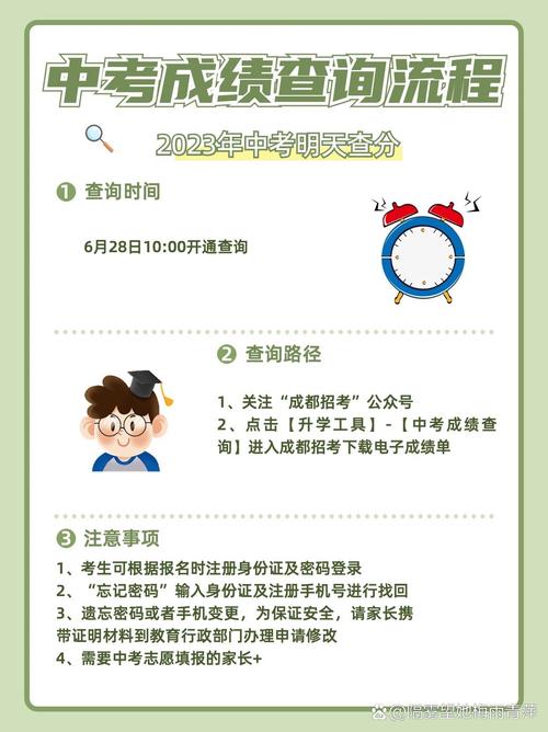 手机上怎么查中考分数?最新tv版