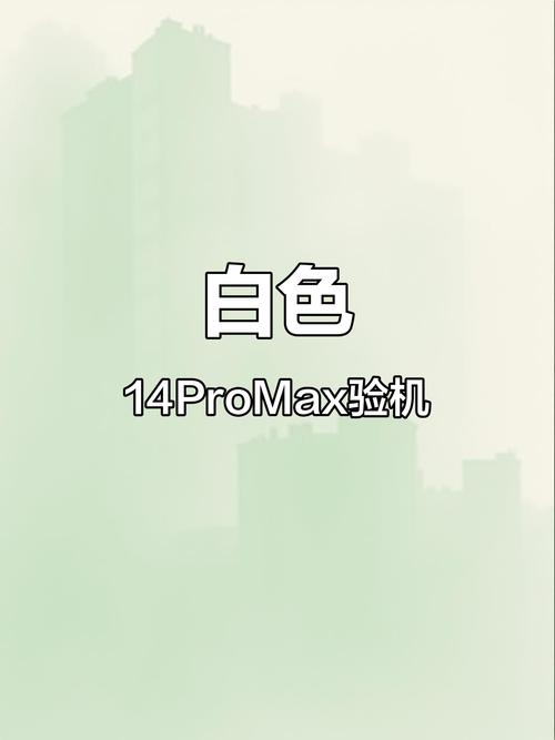 验机白色版无删减