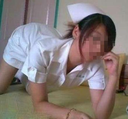 龙口护士门种子